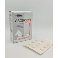 Asba Gen feltro emostatico composto da collagene