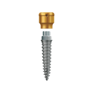 LODI- Prothesen-Implantsystem (Low Diameter)