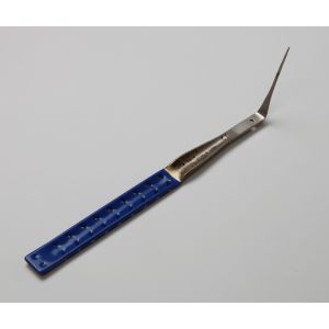 Laschal FXPS File Extraction Probe 75° - blu
